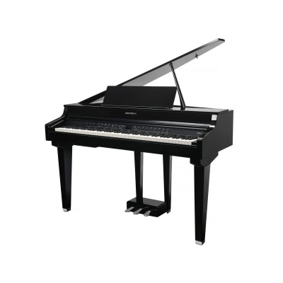 KURZWEIL CUP G1W BP
