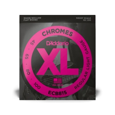 D'ADDARIO ECB81S
